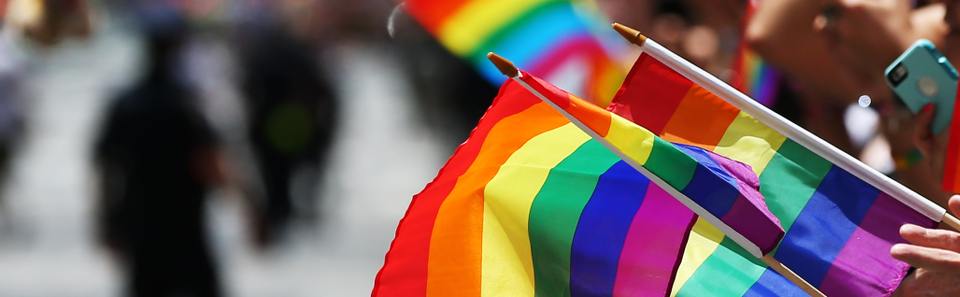 LGBTI flags