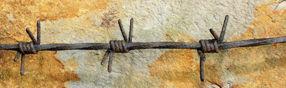 Barbed wire