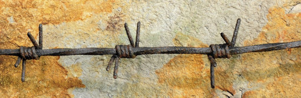 Barbed wire photo