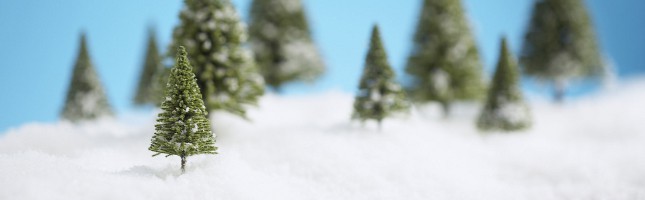 Snow scene